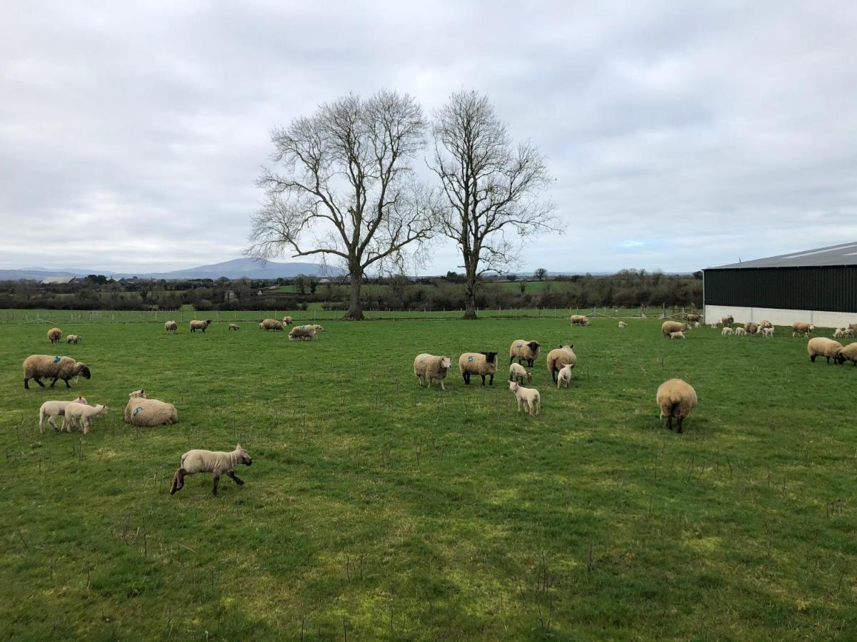 Knockreagh Farm Cottages, Callan, Kilkenny Esterno foto