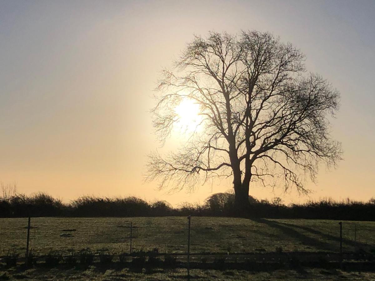 Knockreagh Farm Cottages, Callan, Kilkenny Esterno foto