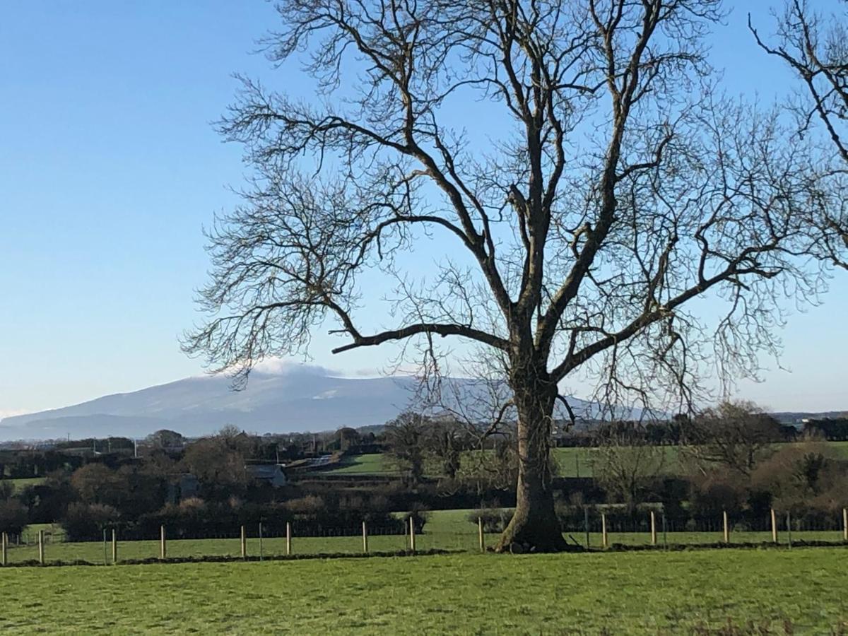 Knockreagh Farm Cottages, Callan, Kilkenny Esterno foto