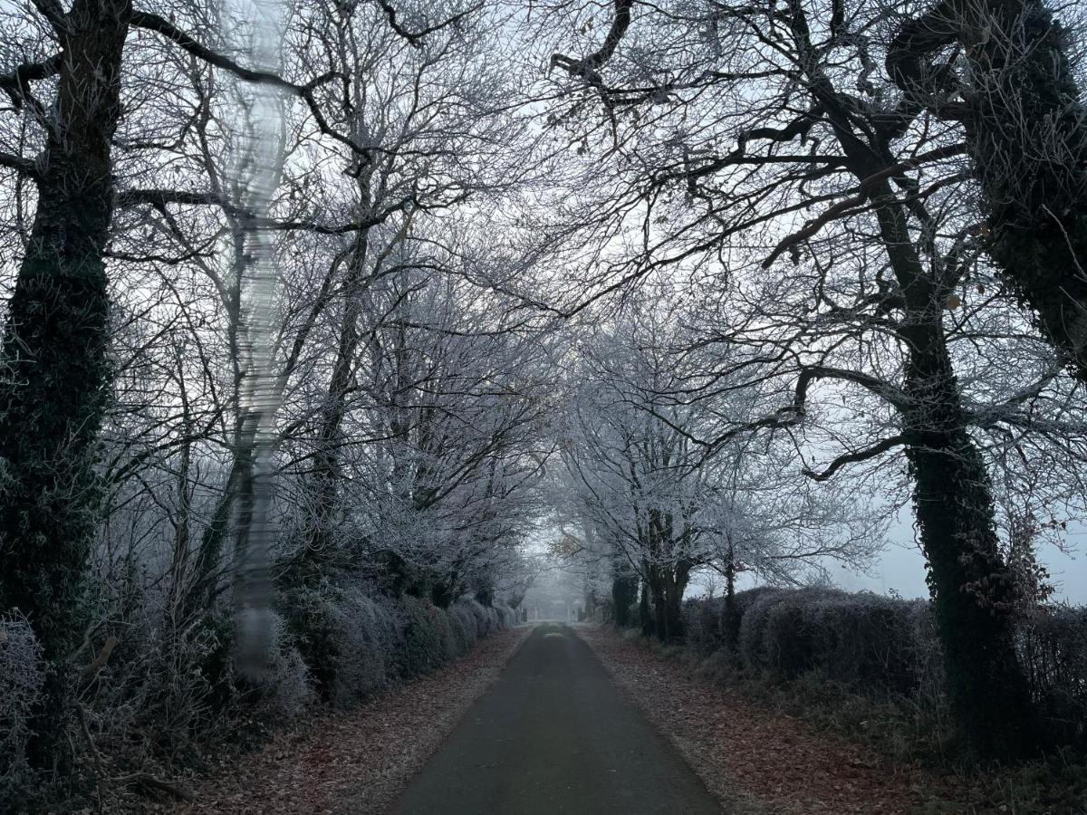 Knockreagh Farm Cottages, Callan, Kilkenny Esterno foto