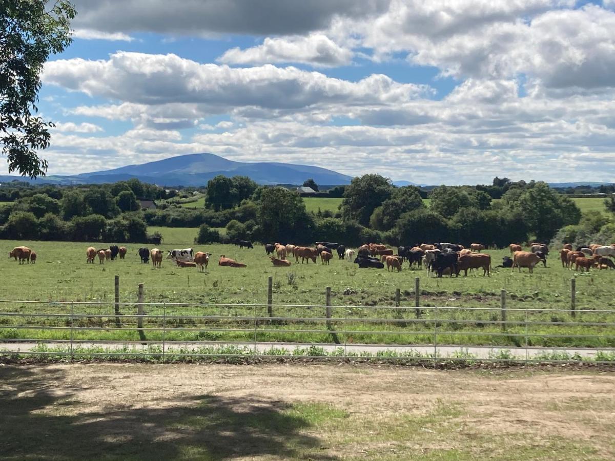 Knockreagh Farm Cottages, Callan, Kilkenny Esterno foto